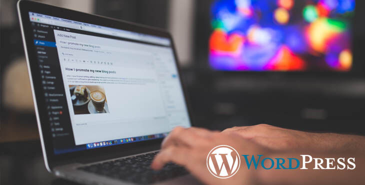Build your website with WordPress